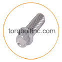 Hastelloy C22 12 Point Flange Bolt Hastelloy C22 12 Point Flange Bolt