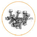 Hastelloy C22 Bin Bolts Hastelloy C22 Bin Bolts