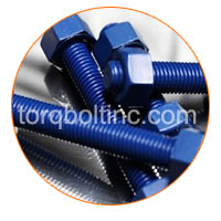 Hastelloy C22 Fasteners Surface Treatments Hastelloy C22 Fasteners Surface Treatments