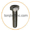 Hastelloy C22 Coil Bolts Hastelloy C22 Coil Bolts