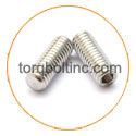 Hastelloy C22 Grub Screw Hastelloy C22 Grub Screw