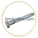 Hastelloy C22 Lag Bolt Hastelloy C22 Lag Bolt