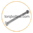 Hastelloy C22 Machine Bolt Hastelloy C22 Machine Bolt