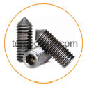 Hastelloy C22 Set Screw Hastelloy C22 Set Screw