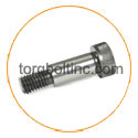 Hastelloy C22 Shoulder Bolt Hastelloy C22 Shoulder Bolt
