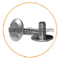 Hastelloy C22 Sidewalk Bolts Hastelloy C22 Sidewalk Bolts