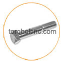 Hastelloy C22 Square Head Bolts Hastelloy C22 Square Head Bolts