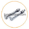 Hastelloy C22 Step Bolts Hastelloy C22 Step Bolts