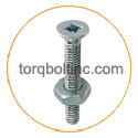 Hastelloy C22 Stove Bolt Hastelloy C22 Stove Bolt