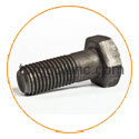 Hastelloy C22 Structural Bolts Hastelloy C22 Structural Bolts