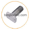 Hastelloy C22 T Head Bolts Hastelloy C22 T Head Bolts