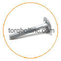 Hastelloy C22 Timber Bolt Hastelloy C22 Timber Bolt