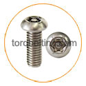 Hastelloy C22 Torx Bolts Hastelloy C22 Torx Bolts